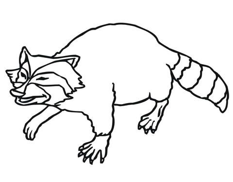 Smiling Raccoon Coloring Page